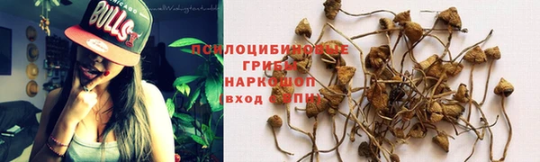 дживик Балабаново