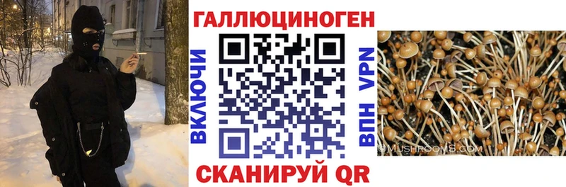 купить закладку  kraken ССЫЛКА  Псилоцибиновые грибы ЛСД  Богучар 